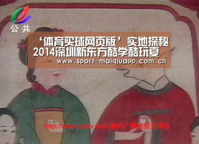 ‘体育买球网页版’实地探秘2014深圳新东方酷学酷玩夏令营(图1) 体育买球app